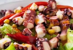 Salada de Polvo com Molho de Pimentos super Fresca